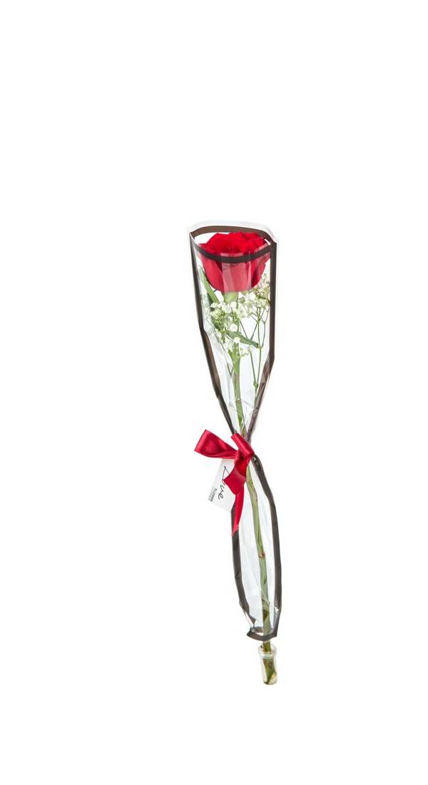 Single Red Rose with Baby's Breath