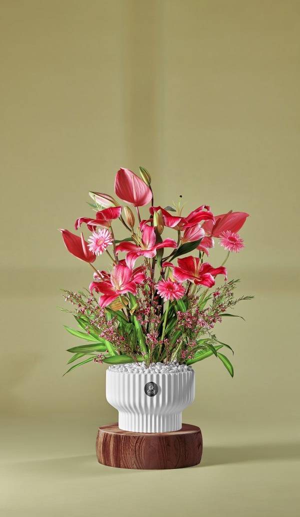 Elegant Lily Anthurium Harmony