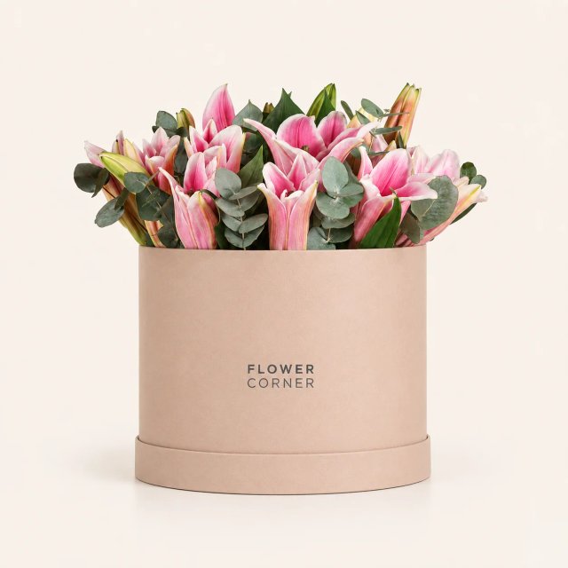 Lily Box Large — Pink / Nude