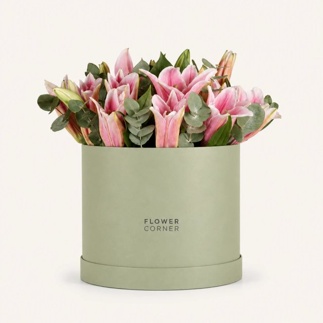 Lily Box Large — Pink / Matte pistachio