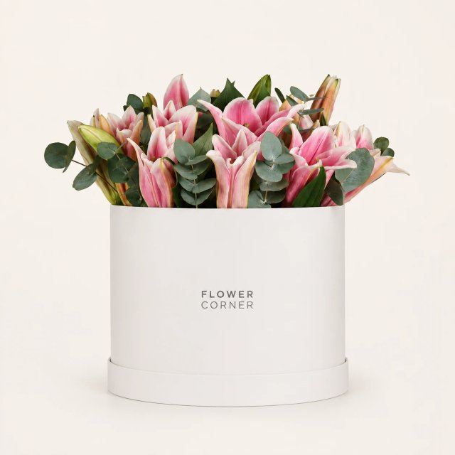 Lily Box Large — Pink / White
