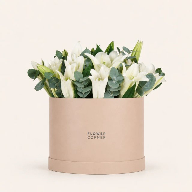 Lily Box Large — White / Nude