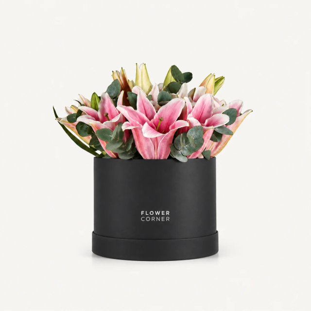 Lily Box Medium — Pink / Black