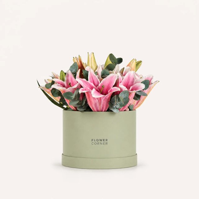 Lily Box Medium — Pink / Matte pistachio