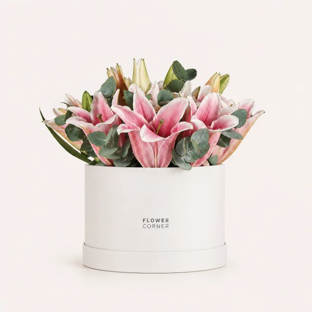 Lily Box Medium — Pink / White
