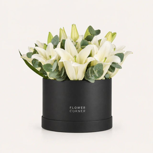 Lily Box Medium — White / Black
