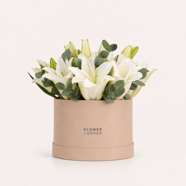 Lily Box Medium — White / Nude