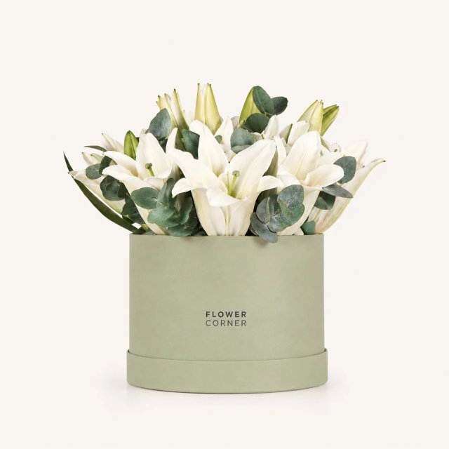 Lily Box Medium — White / Matte pistachio