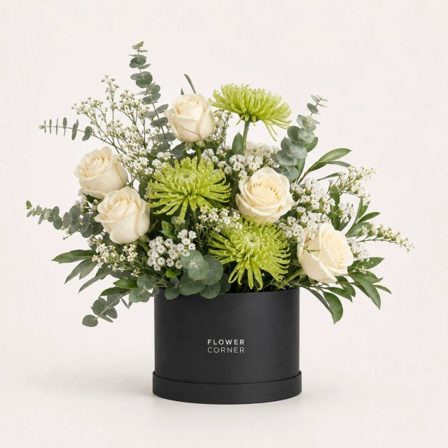 Ivory & Sage Box — Black