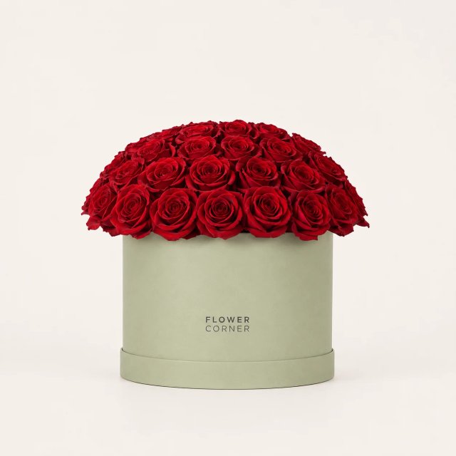 Rose Box Medium — Red / Matte pistachio