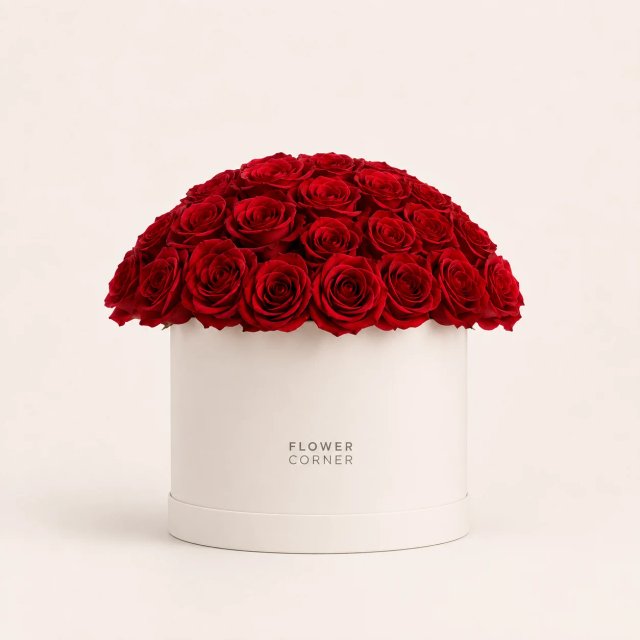 Rose Box Medium — Red / White