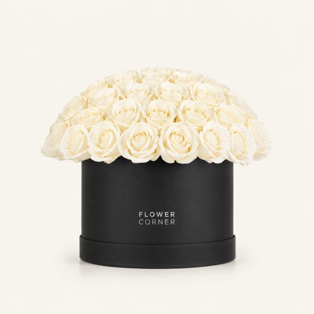 Rose Box Medium — White / Black
