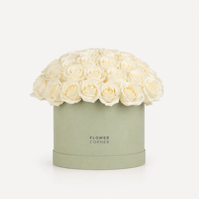 Rose Box Medium — White / Matte pistachio