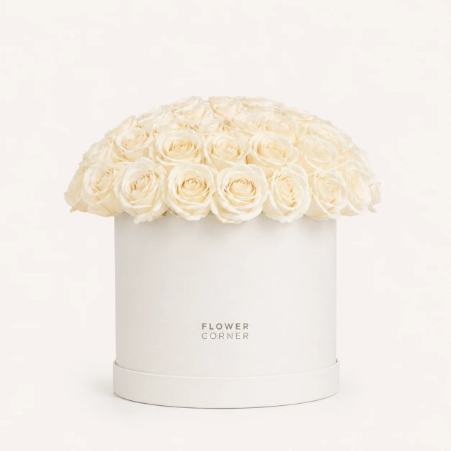 Rose Box Medium — White / White