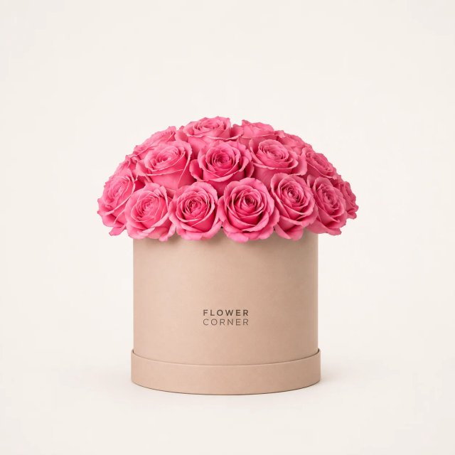 Rose Box Small — Pink / Nude