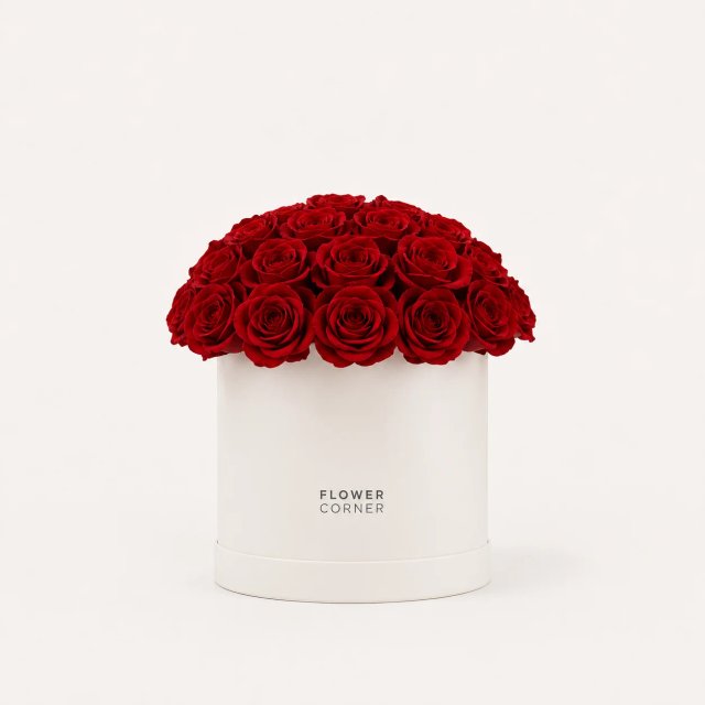 Rose Box Small — Red / White