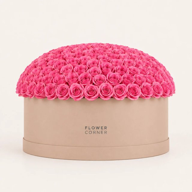Rose Box X-Large — Pink / Nude