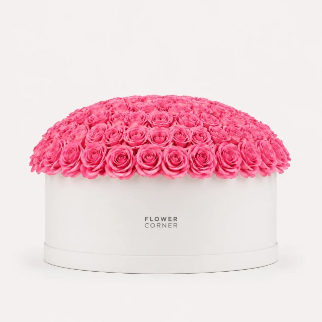 Rose Box X-Large — Pink / White