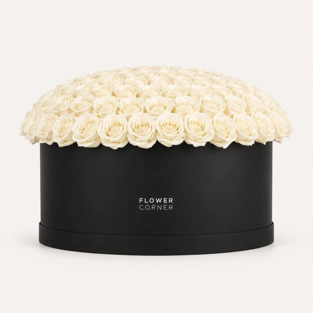 Rose Box X-Large — White / Black