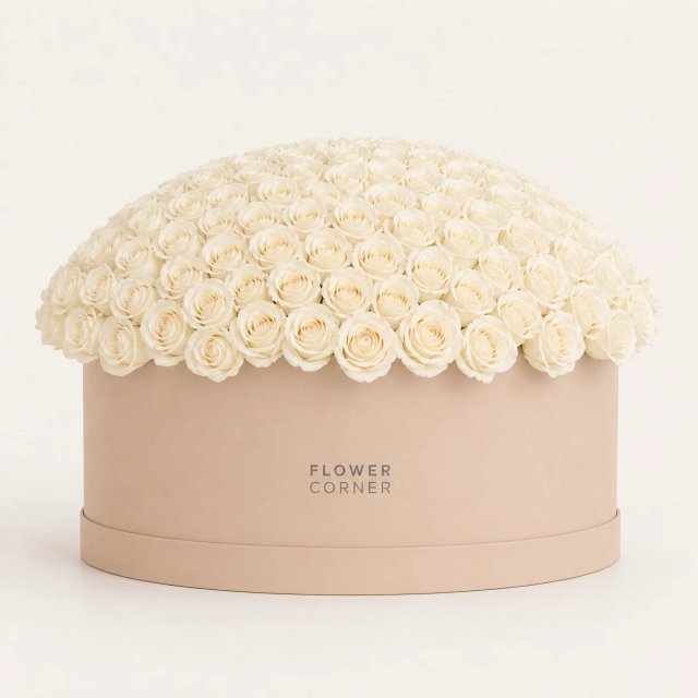 Rose Box X-Large — White / Nude
