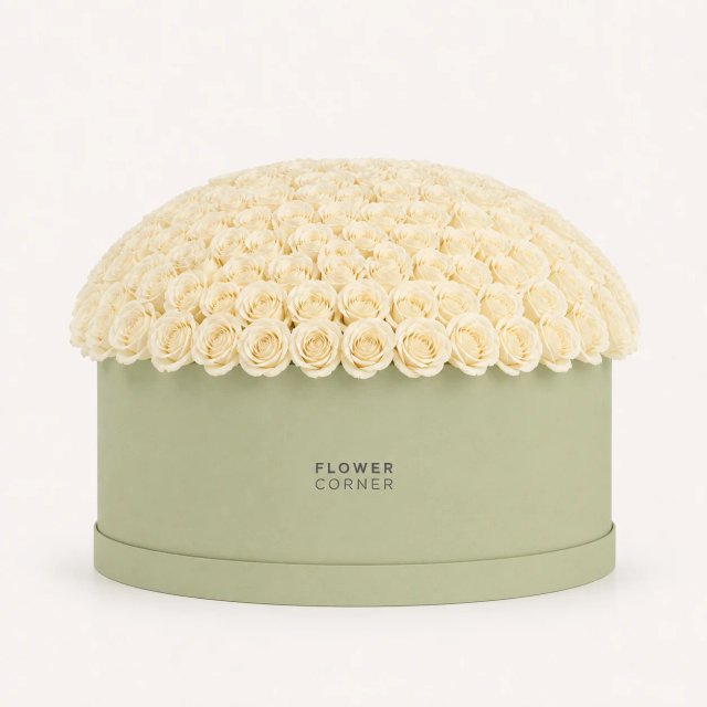 Rose Box X-Large — White / Matte pistachio