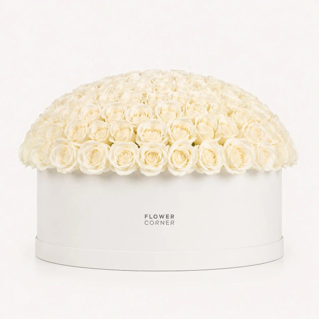 Rose Box X-Large — White / White