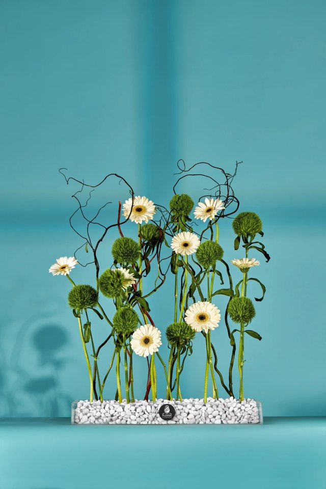 Daisy glass garden