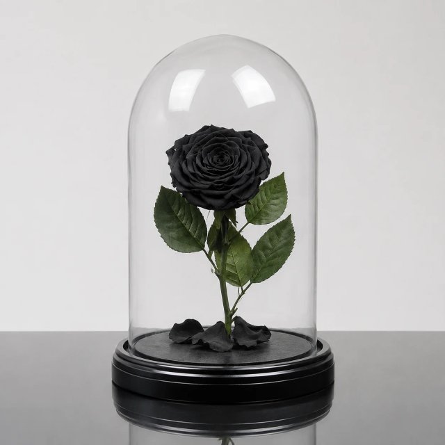 Forever Rose — Black / Round
