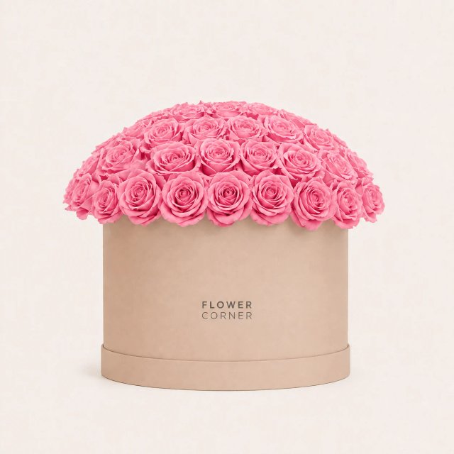Rose Box Large — Pink / Nude