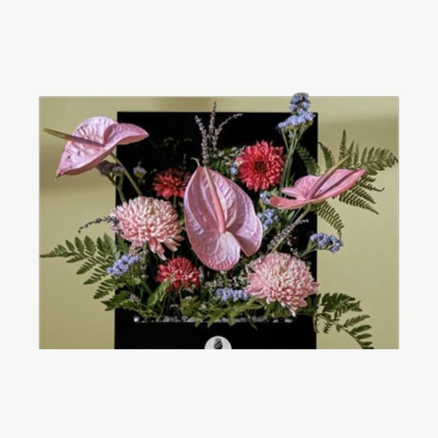 Pink Anthurium Box
