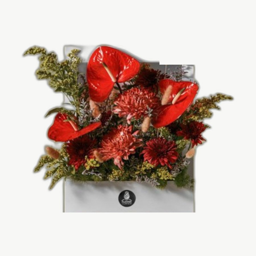 Red Anthurium Box