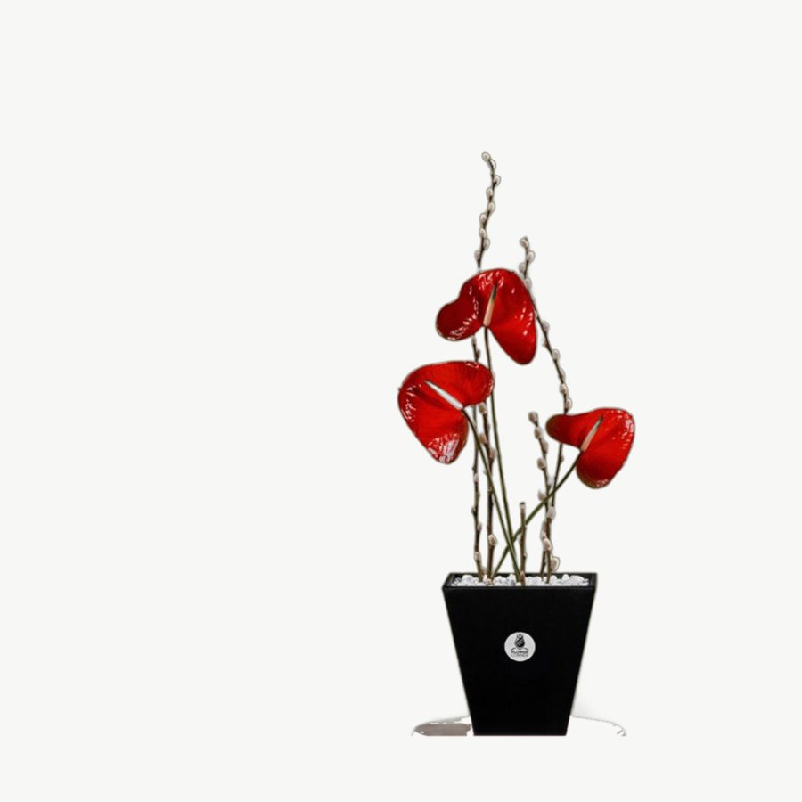 Red Anthurium Vase