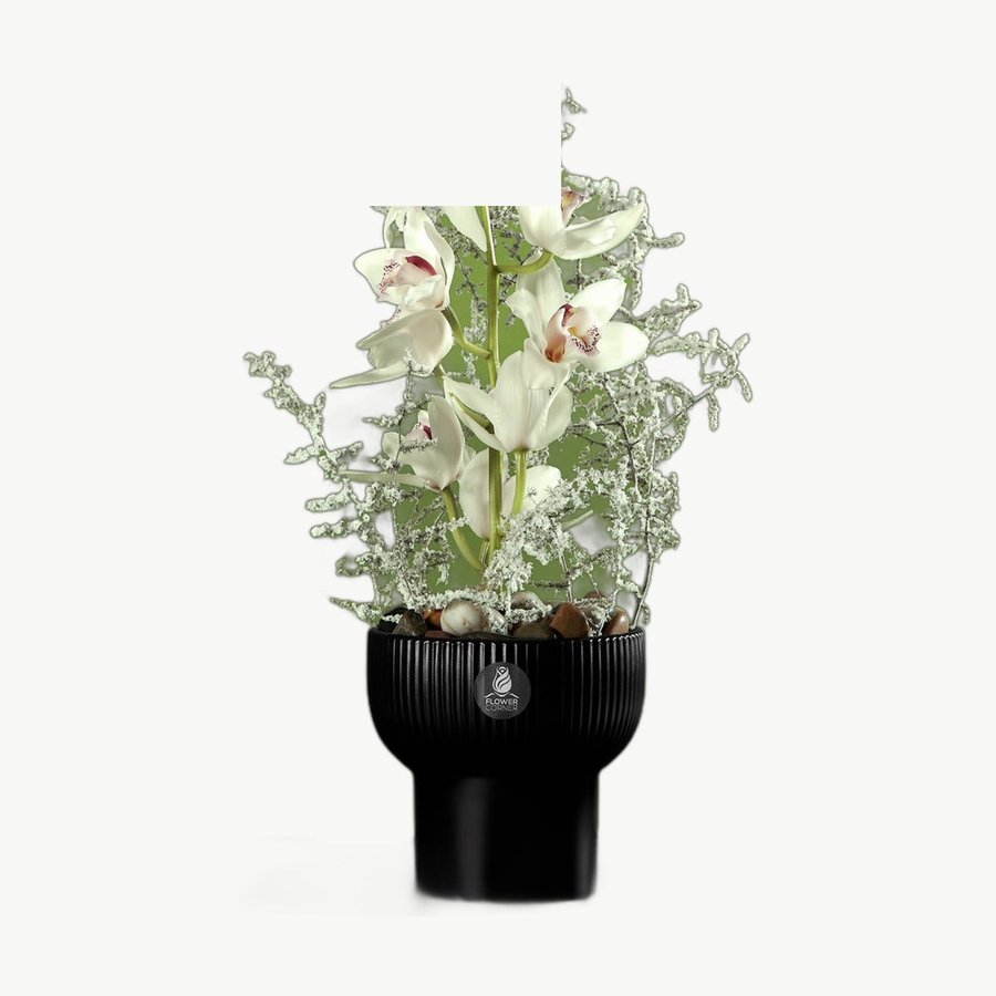 White Orchid Pot