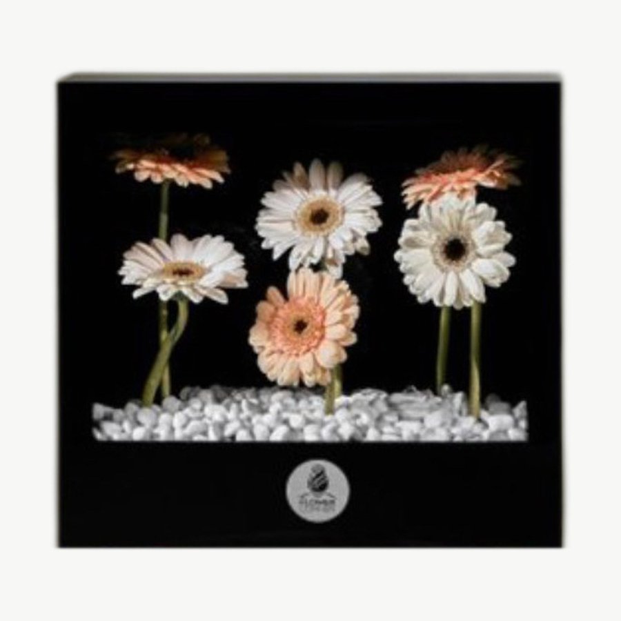 Autumn Flower Frame