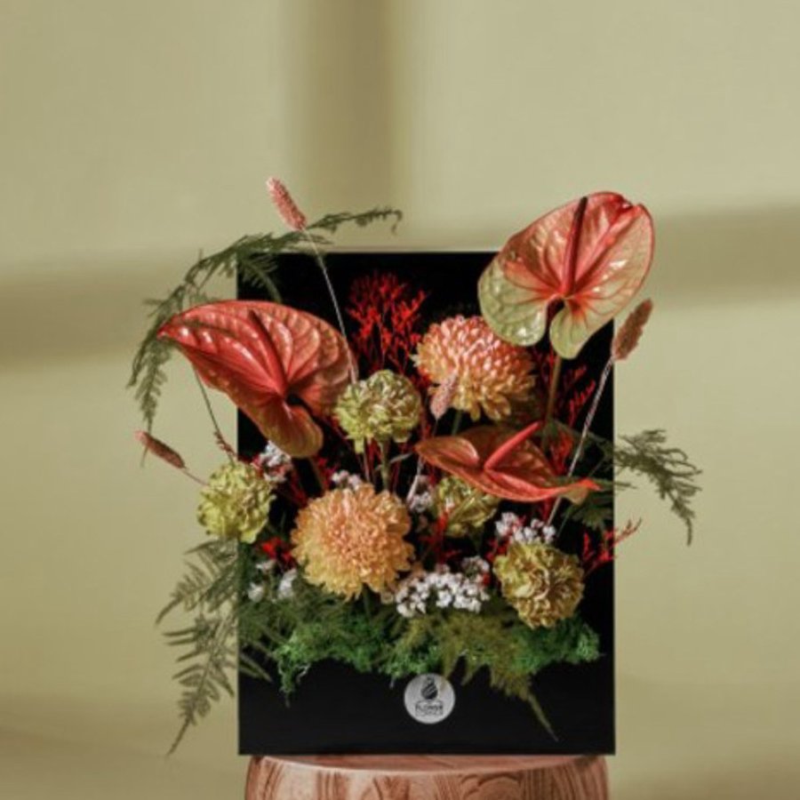 Coral Anthurium Box