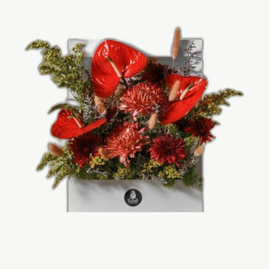 Red Anthurium Box