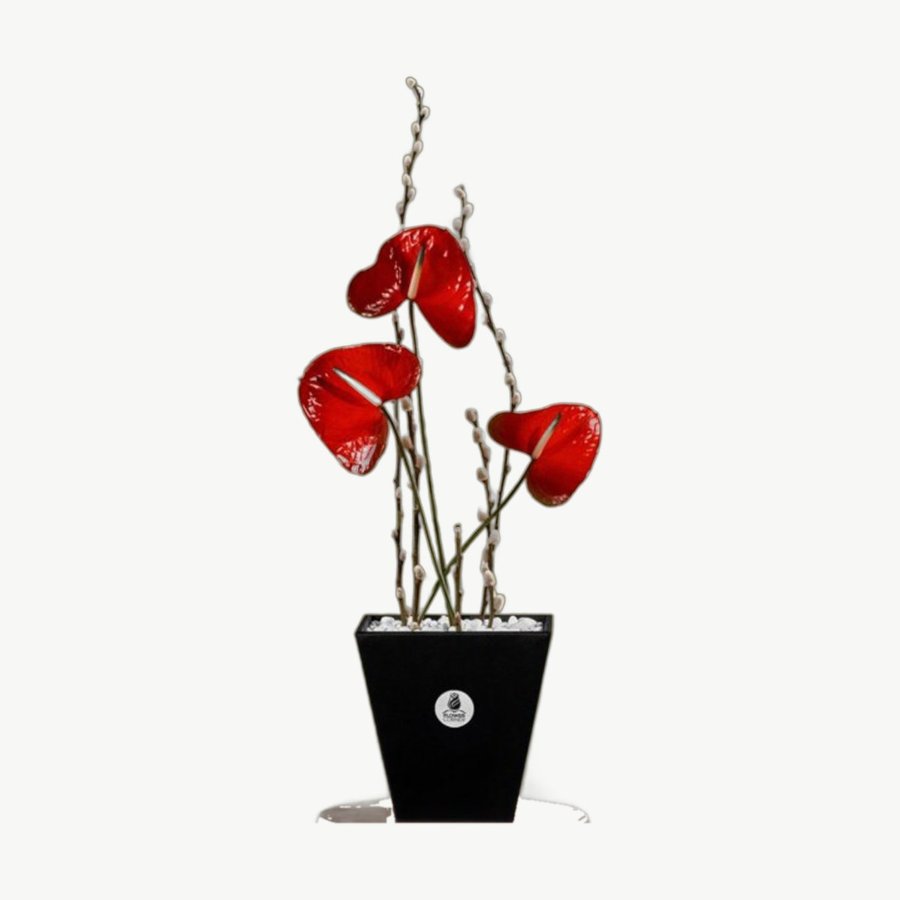 Red Anthurium Vase