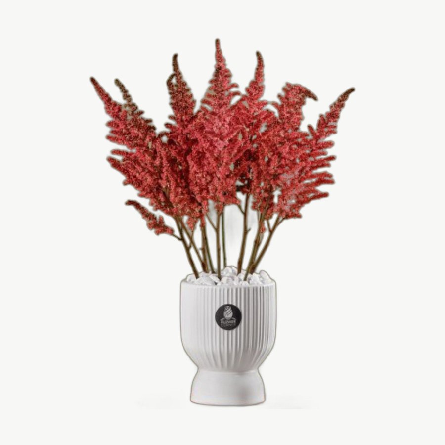 Red Dried Vase