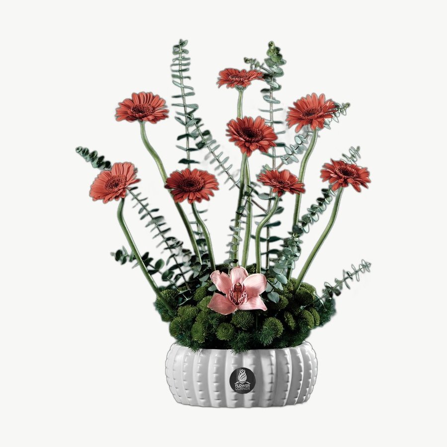 Orange Gerbera Vase