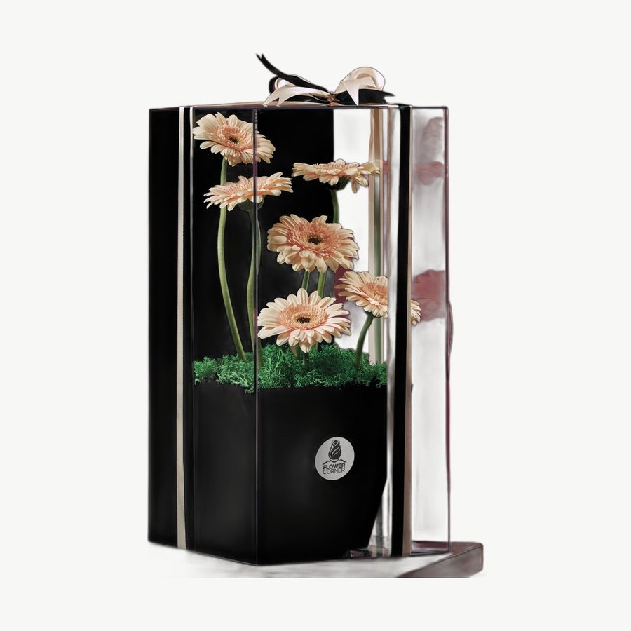 Pink Gerbera Window
