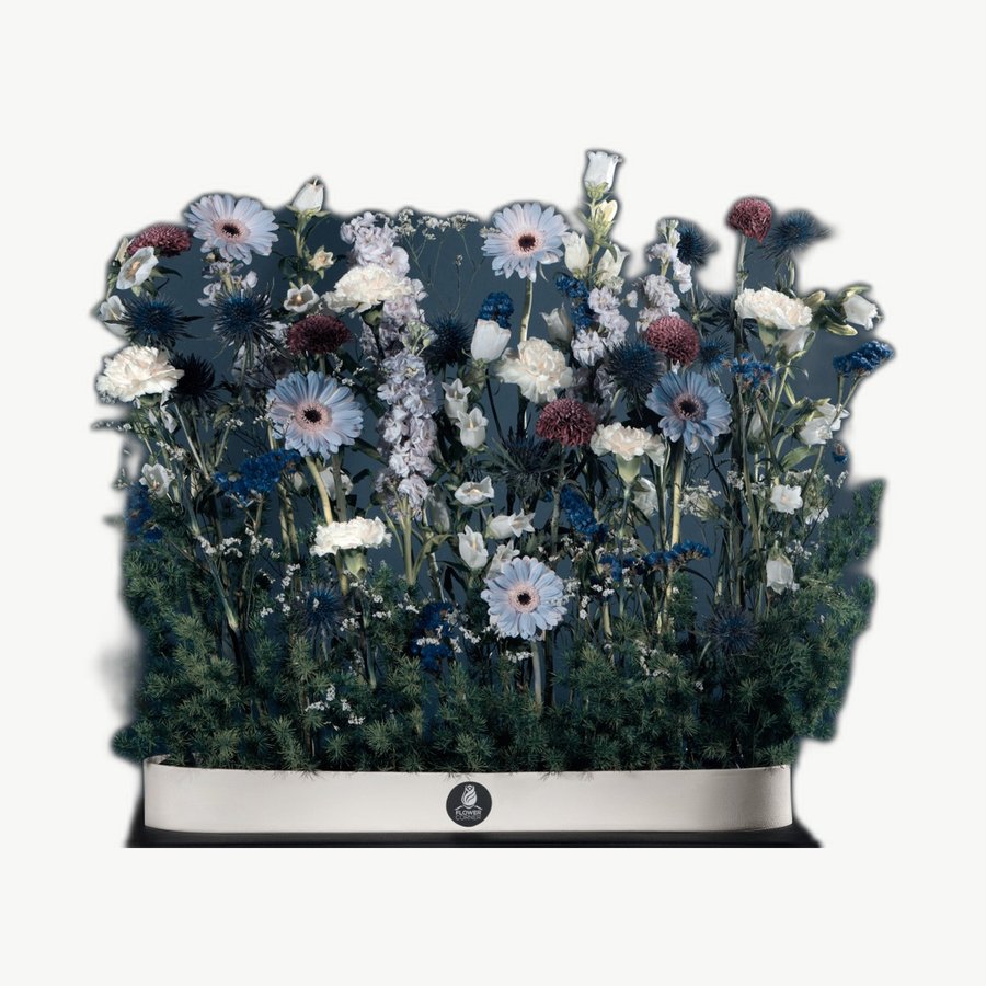 White & Blue Box
