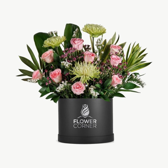 Blush Anthurium Box