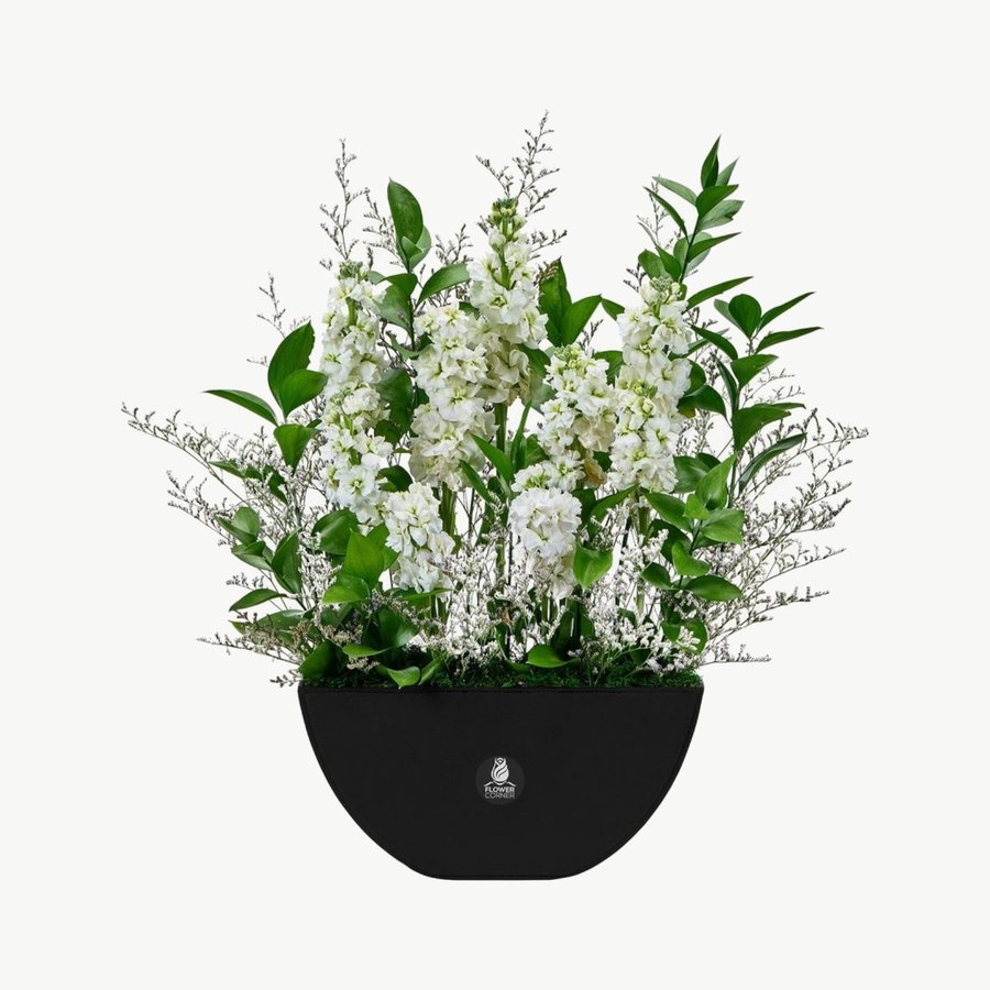 Ivory Gerbera & Anthurium Ceramic Bowl