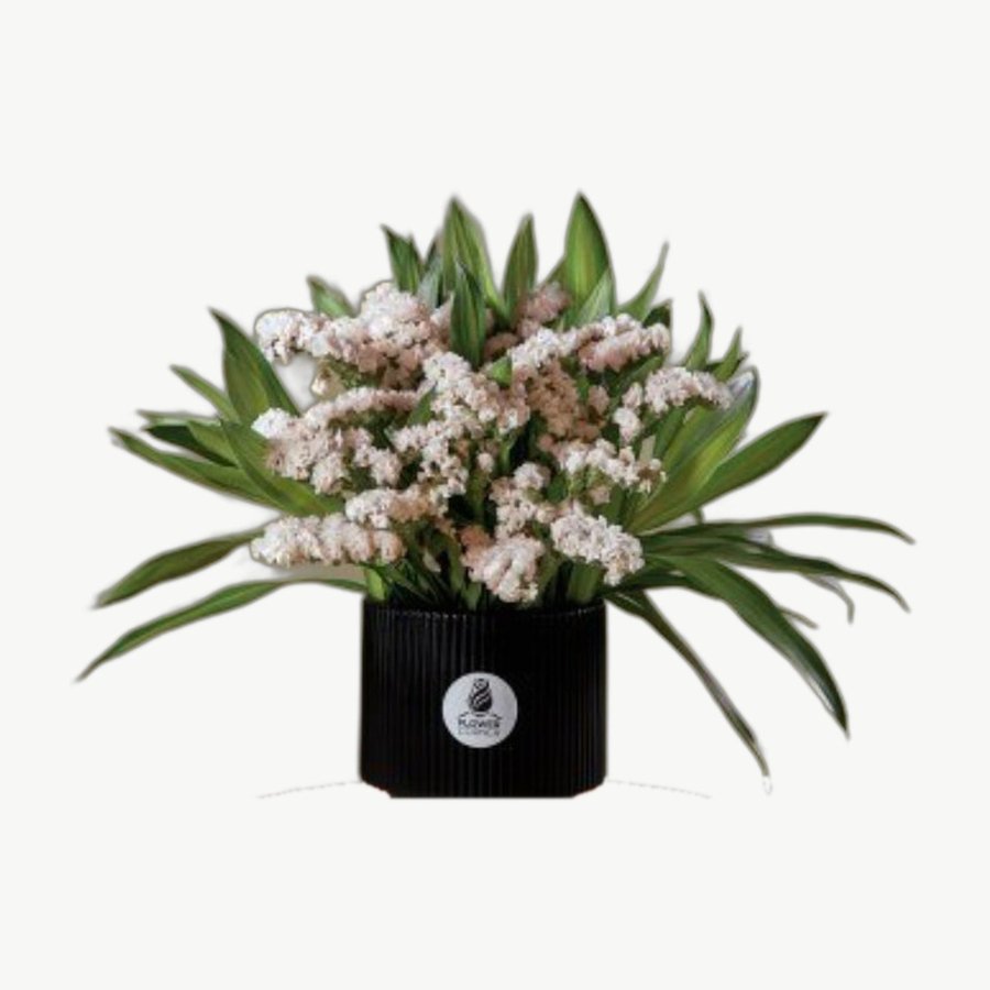 Little White Box