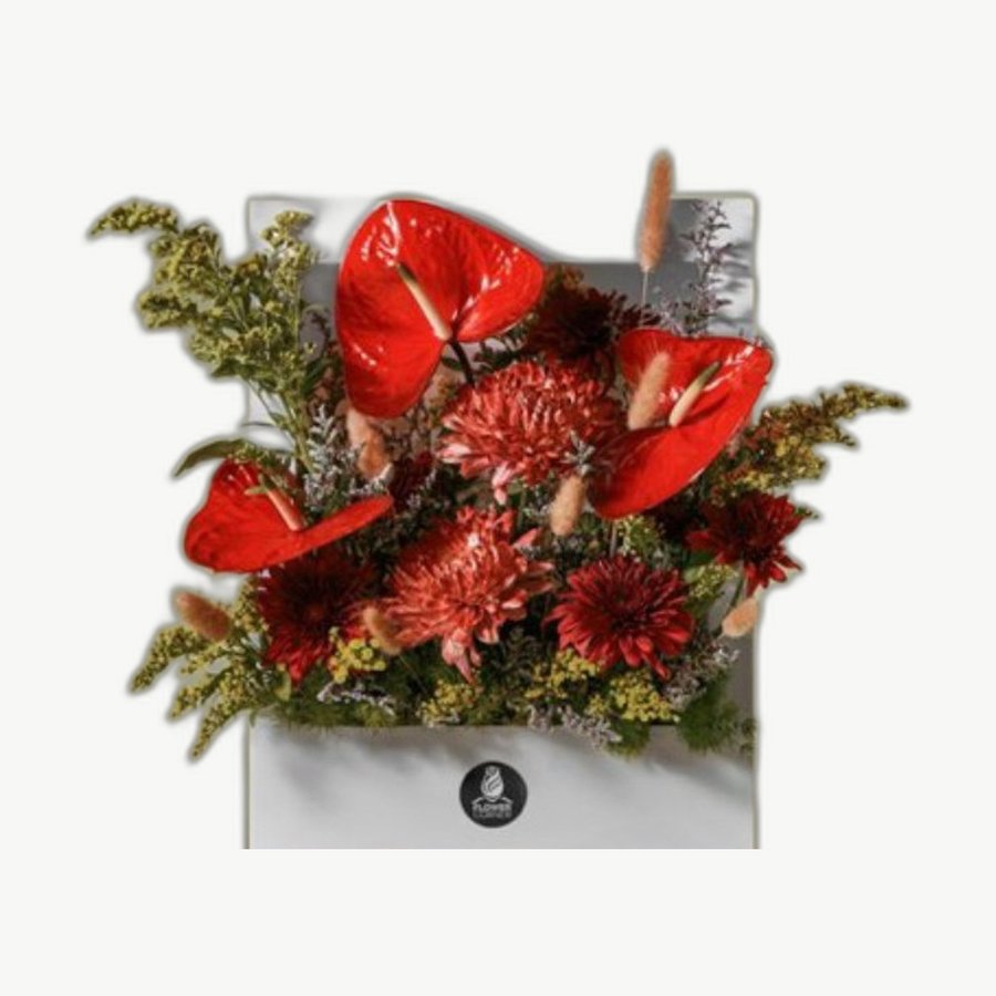 Red Anthurium Box