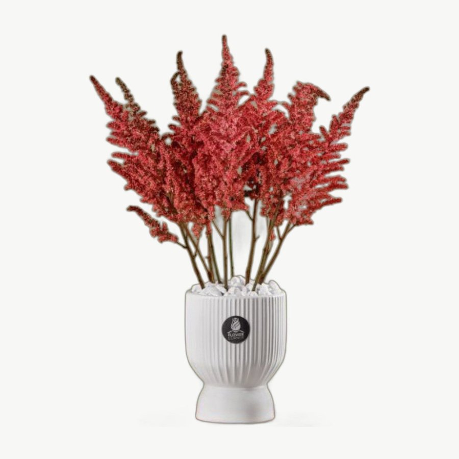 Red Dried Vase