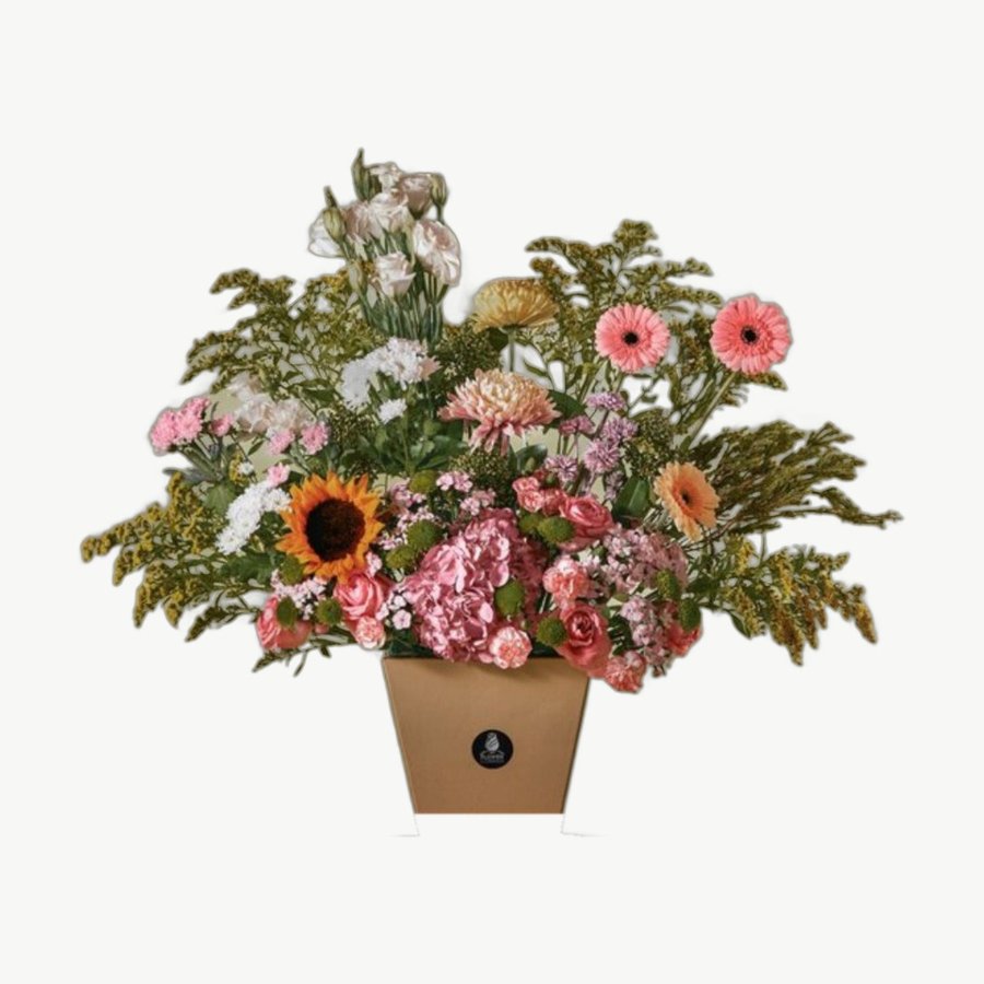Sunflower Mix Pot