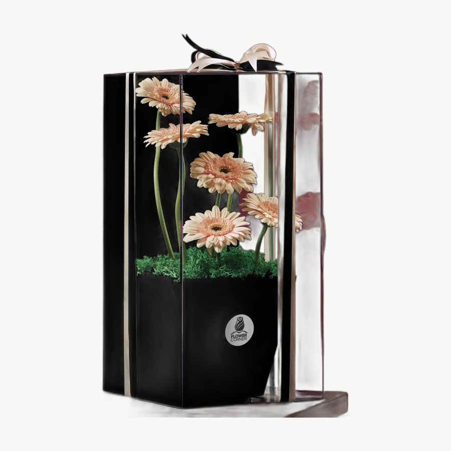 Pink Gerbera Window