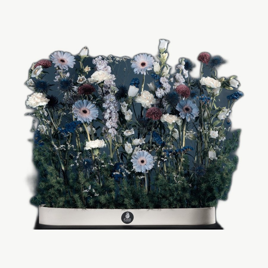White & Blue Box