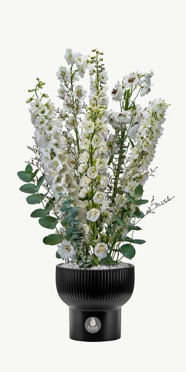 Sunflower & White Hydrangea Vase
